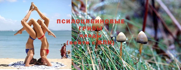 марки lsd Аркадак
