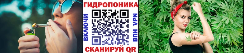 МАРИХУАНА OG Kush Узловая